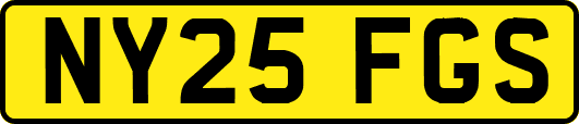 NY25FGS