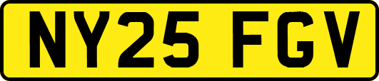 NY25FGV