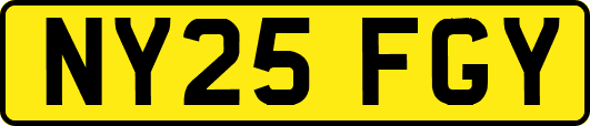 NY25FGY