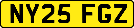 NY25FGZ