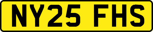 NY25FHS