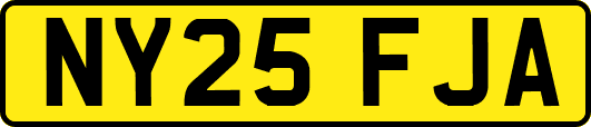 NY25FJA