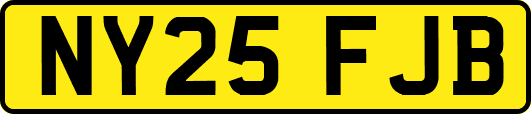 NY25FJB