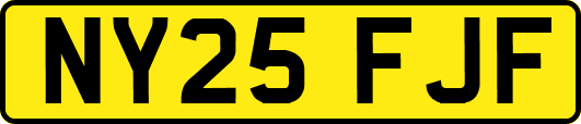 NY25FJF
