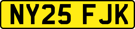 NY25FJK