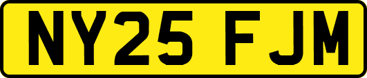 NY25FJM