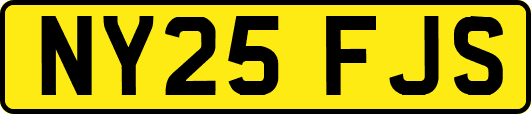 NY25FJS