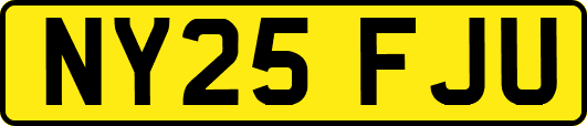 NY25FJU