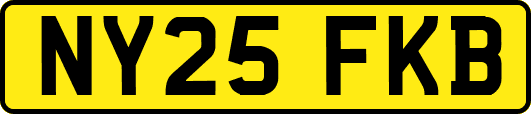 NY25FKB