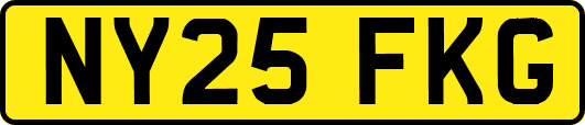 NY25FKG