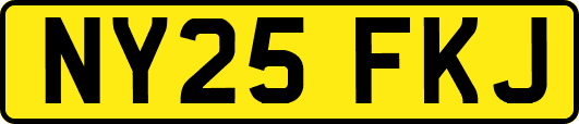 NY25FKJ