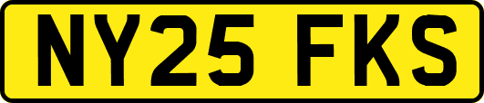 NY25FKS