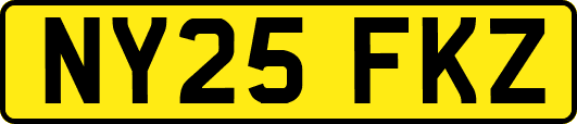 NY25FKZ