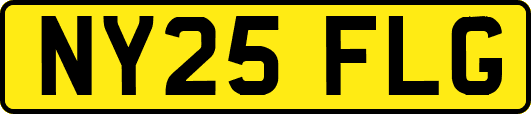 NY25FLG
