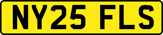 NY25FLS