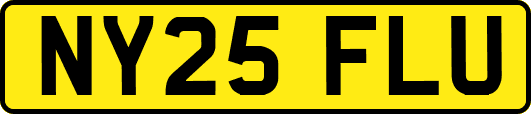 NY25FLU