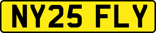 NY25FLY