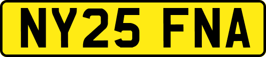 NY25FNA