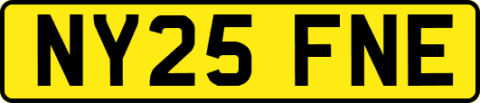 NY25FNE