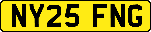 NY25FNG