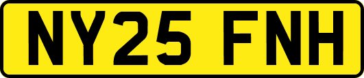 NY25FNH