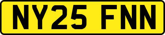 NY25FNN