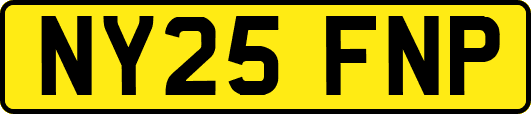 NY25FNP