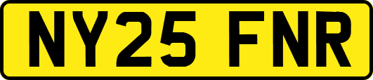 NY25FNR