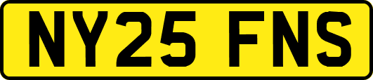 NY25FNS