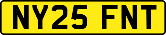 NY25FNT