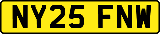 NY25FNW