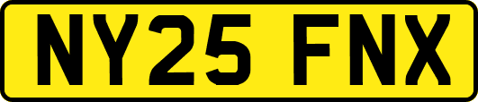 NY25FNX