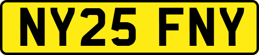 NY25FNY