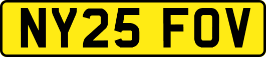 NY25FOV