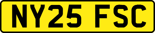 NY25FSC