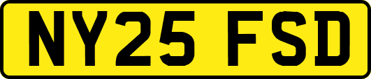 NY25FSD
