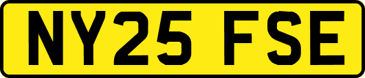 NY25FSE