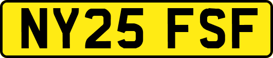 NY25FSF