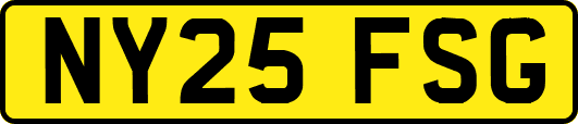 NY25FSG