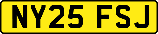NY25FSJ