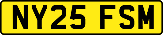 NY25FSM