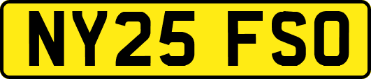 NY25FSO