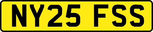 NY25FSS