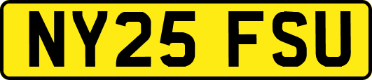 NY25FSU