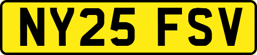 NY25FSV