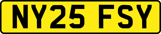 NY25FSY