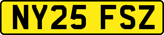 NY25FSZ