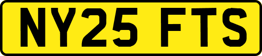 NY25FTS