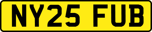 NY25FUB