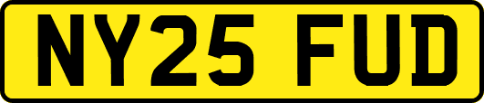 NY25FUD